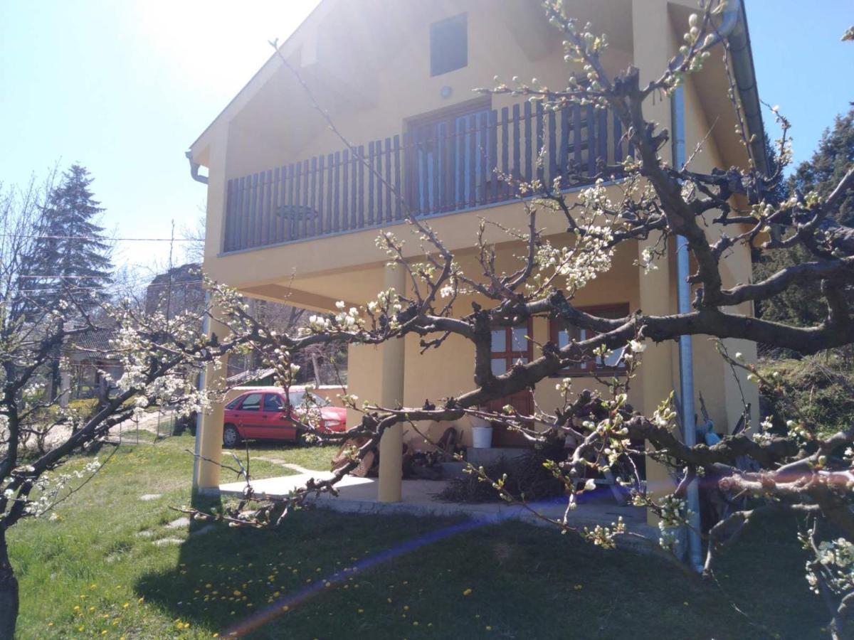 Dedinje Villa Jagodina Eksteriør billede
