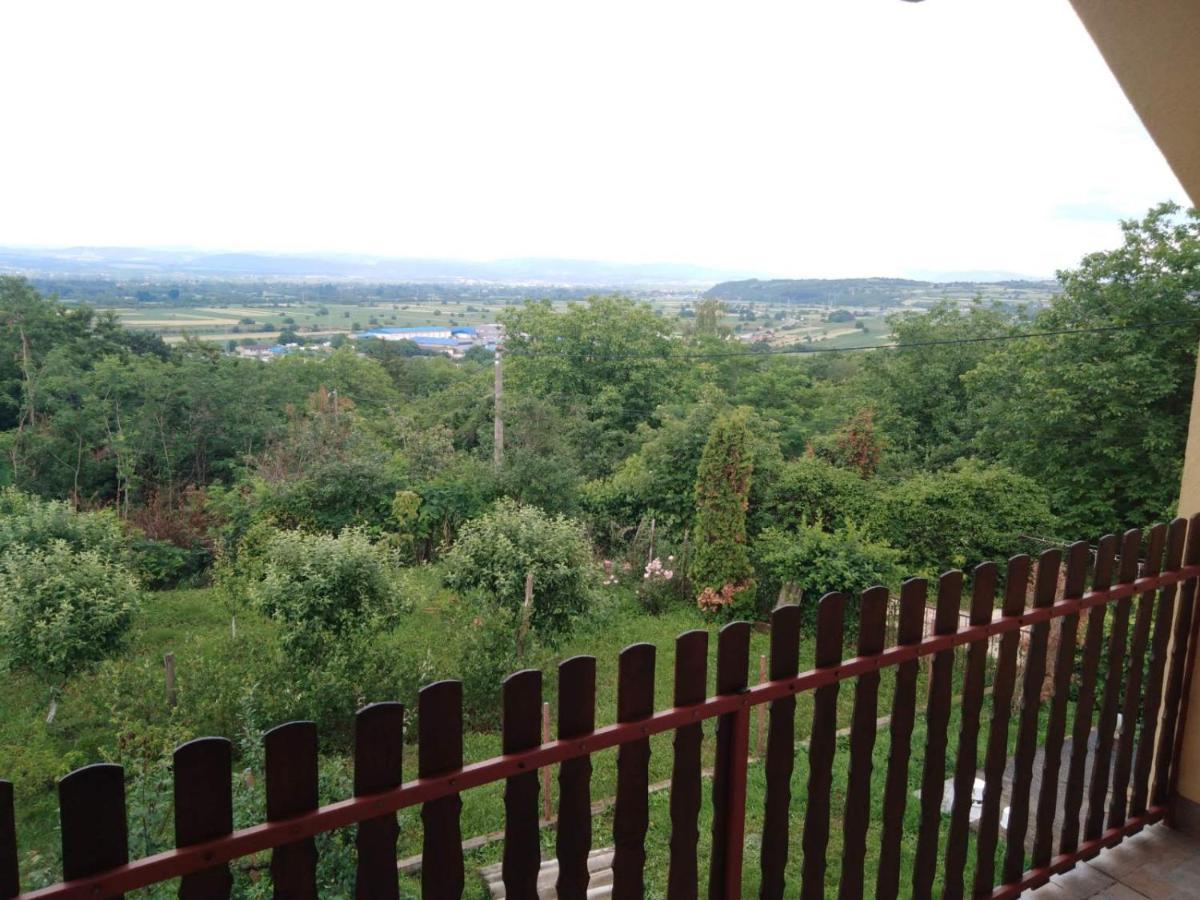 Dedinje Villa Jagodina Eksteriør billede